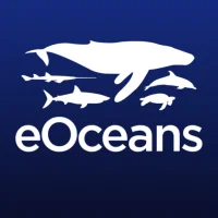 eOceans